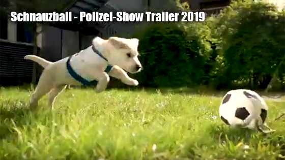 Schnauzball Trailer